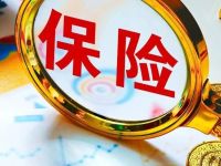 分红险站上C位！险企抢跑2026年“开门红”