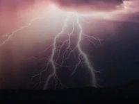 罚没1.35亿！头部券商副总裁，违规炒股被罚！